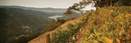 Kuleto Estate Lake and Vineyard View 1920x633