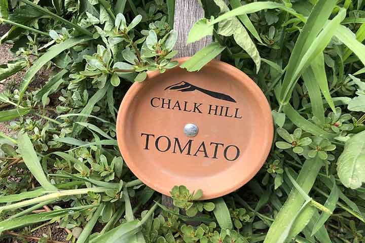 chalk hill garden summer 17 1