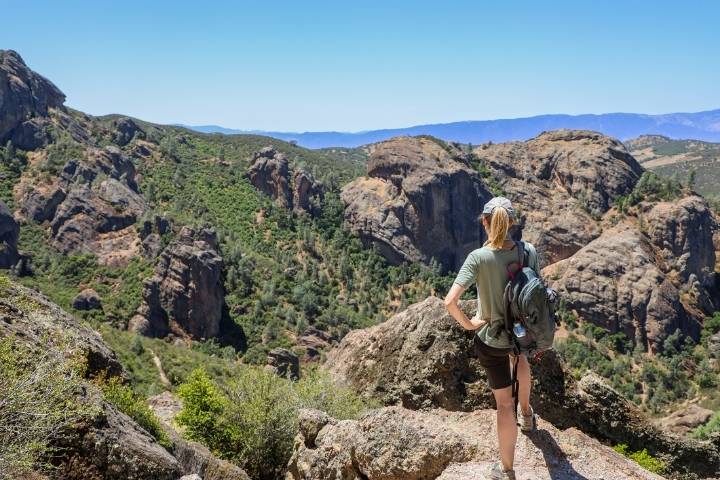 ffws pinnacles national park