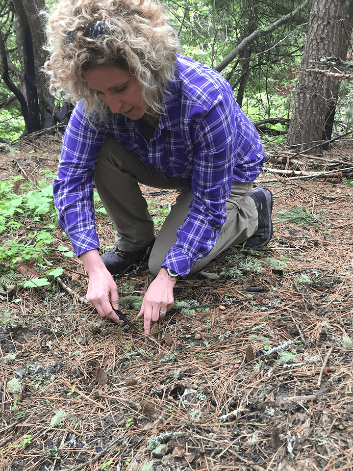 holly mushrooming 1