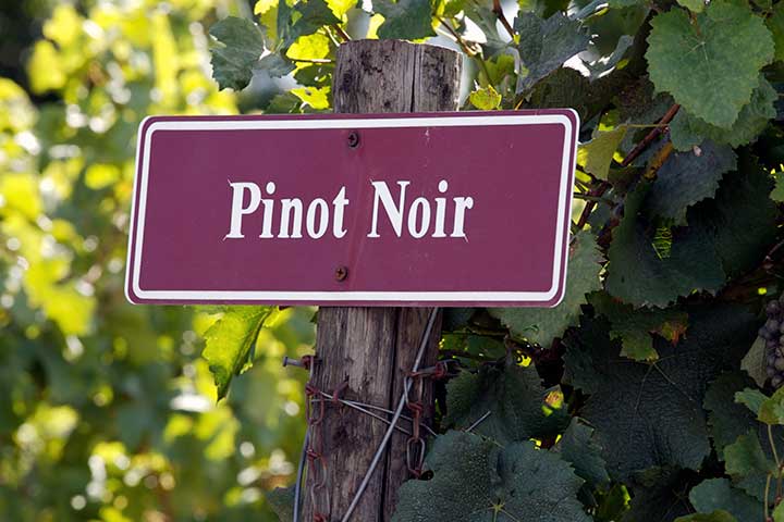 national pinot noir day