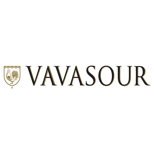 vavasour logo 500x5001 1