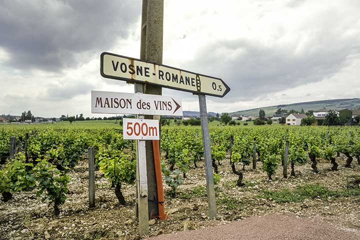 wine signs
