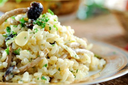 Risotto con Funghi e Cabernet