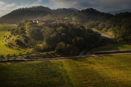 Silverado Vineyards