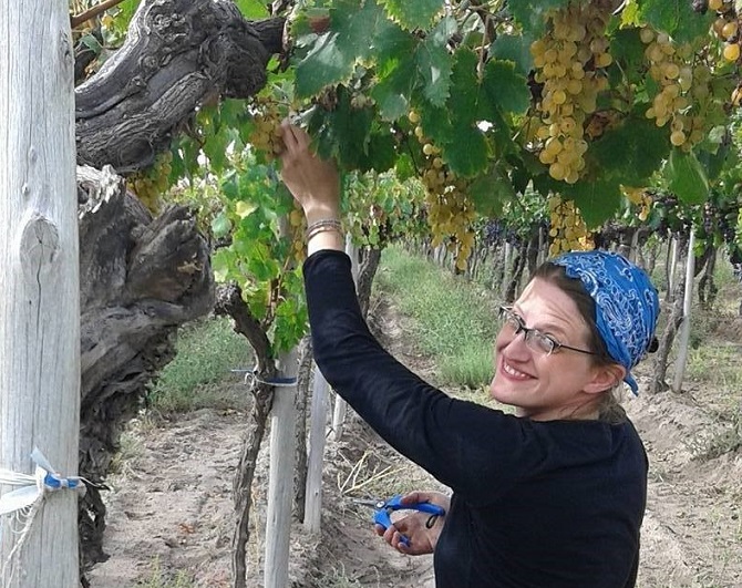 Rachel Healow TFG Assoc. Winemaker