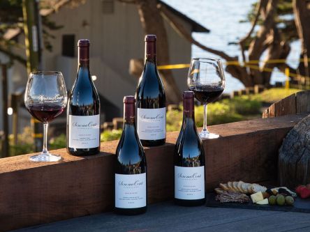 sonoma coast experiences 1