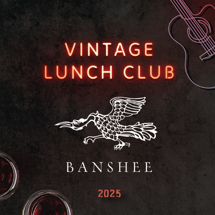 Banshee Experience Image TEMP